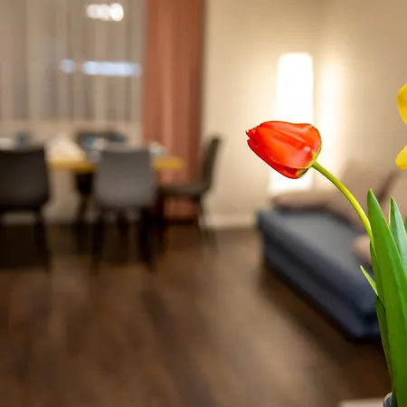 Saphi Appartement